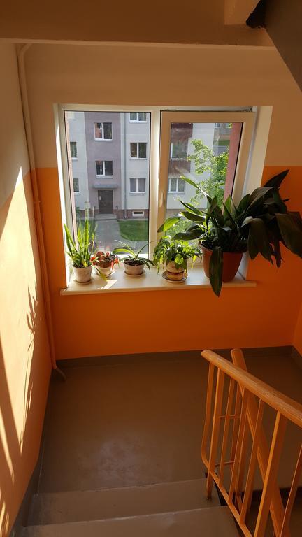 L.E.C. Travel Apartments 벤츠필스 외부 사진